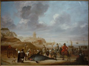 Walvis op het strand van Scheveningen