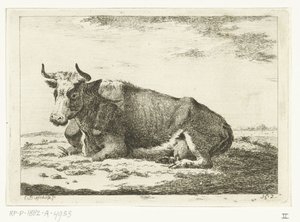 Landschap met liggende koe met horens