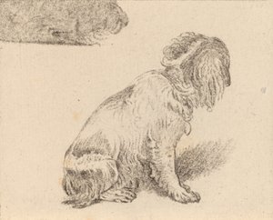 Zittende Hond, 1777 door Cornelis Brouwer