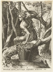 Dryas (Godinnen en nimfen)