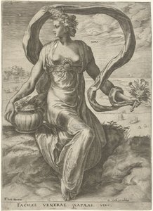 Napaea door Cornelis Cort