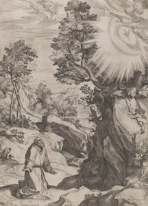 St. Franciscus Berouwvol in de Wildernis