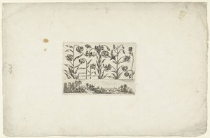 Rij bloemen boven landschap Bloemen en landschappen (series title) door Cornelis Danckerts (I)