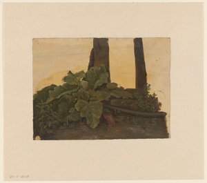 Planten aan de voet van een boomstam door Cornelis Johannes de Vogel