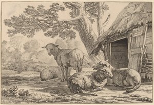 Schapenkooi door Cornelis Ploos van Amstel