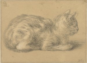 Zittende kat, naar rechts door Cornelis Saftleven (possibly)