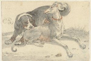 Hazewindhond en een patrijshond door Cornelis Saftleven