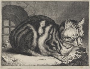 De grote kat door Cornelis Visscher (II)