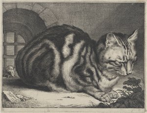 De Grote Kat door Cornelis Visscher (II)