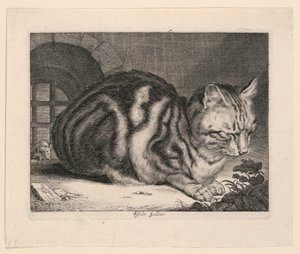 De Grote Kat door Cornelis Visscher