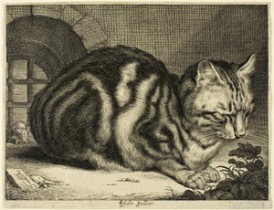 De Grote Kat door Cornelis Visscher