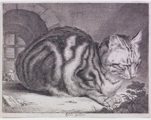De Grote Kat door Cornelis de Visscher