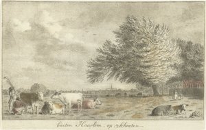 Koeien in een weiland buiten Haarlem, op Schooten door Cornelis van Noorde