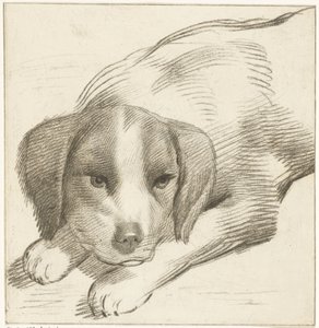 Liggende hond door Cornelis van Noorde