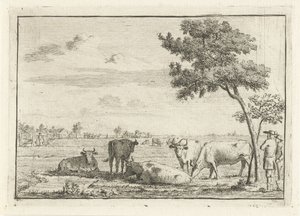 Vijf koeien in een weiland door Cornelis van Noorde