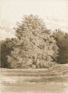 Wrottesley Hall - De Struikgewassen door Cornelius Varley