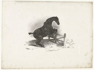 Paard springt over een hek door Courtin