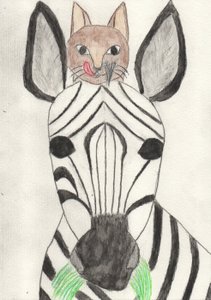 Mijn vriend de zebra