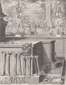 Plate voor de 