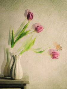 Dromerige tulpen en een vlinder door Cristiano Giani