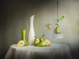 Groene perenvlinder door Cristiano Giani