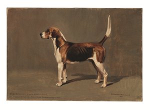 "Woldsman" door Cuthbert Bradley