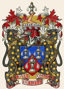 De gilden van Londen: The Worshipful Company of Salters door Dan Escott