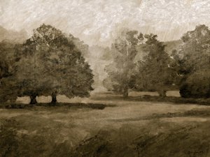 Kasteelpark door Dan Hobday