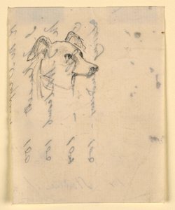 Tekening, Hondenkop, waarschijnlijk Milo (een Pointer), ca. 1862 door Daniel Huntington
