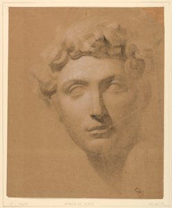 Tekening, Mannenhoofd van een gips, 1840 door Daniel Huntington