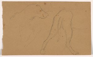 Tekening, Milo (een Pointer), hoofd en lichaam, ca. 1862 door Daniel Huntington