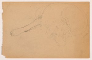 Tekening, Miol (een Pointer), ca. 1862