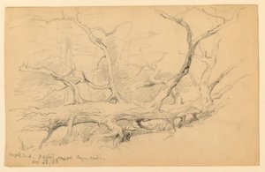 Esdoornstam, Over Oude Houtweg, Dalton door Daniel Huntington