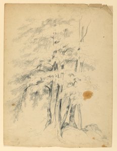 Studie van Zwarte Berken door Daniel Huntington