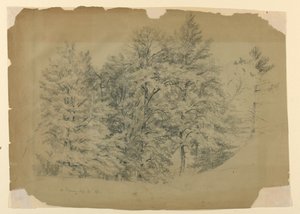 Studie van bomen, North Conway, New Hampshire door Daniel Huntington