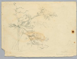 Studie van twee pijnbomen, Catskill Mountains