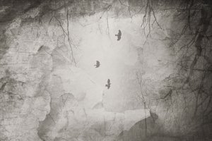  door Daniela Riegler