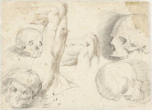 Vier studies van een schedel door Daniele da Volterra