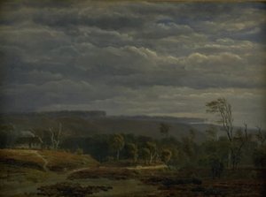 Uitzicht op een bebost landschap in Jutland