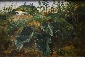 Voorgrondstudie met Dock Leaves