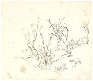 Gras door Dankvart Dreyer