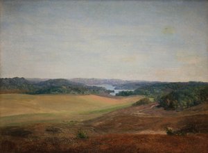 Landschap bij Silkeborg, Jutland