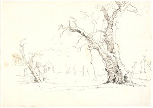 Landschap met grote eiken, links enkele huizen