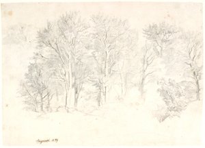 Studie van Bomen door Dankvart Dreyer