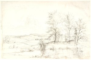Uitzicht over een heuvelachtig bosrijk landschap. Op de voorgrond een meer