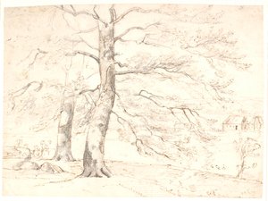 Uitzicht over een landschap, op de voorgrond grote beukenbomen door Dankvart Dreyer