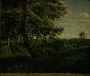 Ørsbjerg Bos bij Aarup, Funen