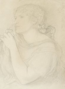 Studie van Fanny Cornforth, 1863 door Dante Gabriel Charles Rossetti