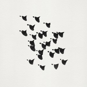 Minimalistische vogels in vlucht door Danushka Abeygoda