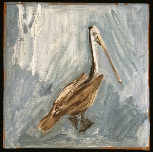 Pelikaan